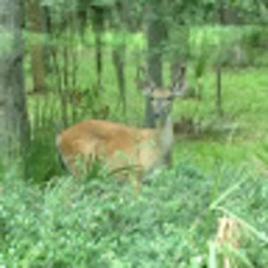 Meet your Posher, Debra